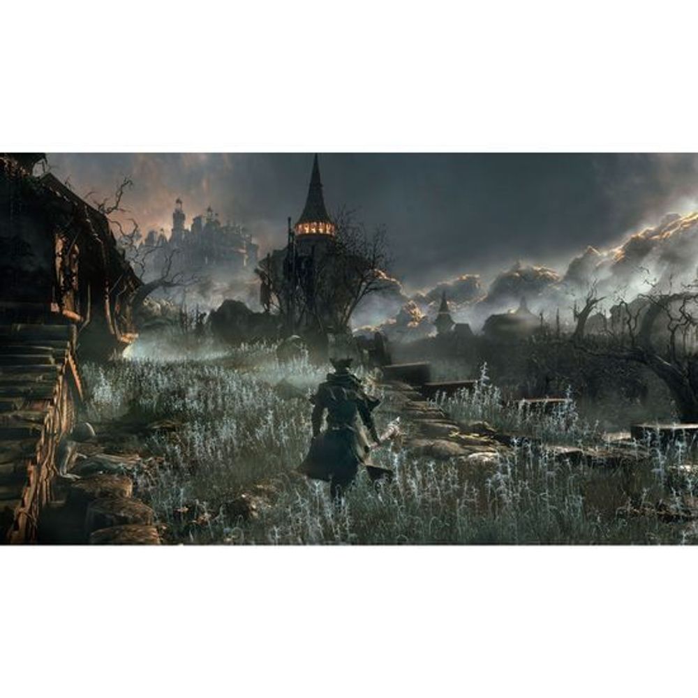 PS4 Bloodborne PlayStation Hits Sony Store Argentina   Bloodborne 1 